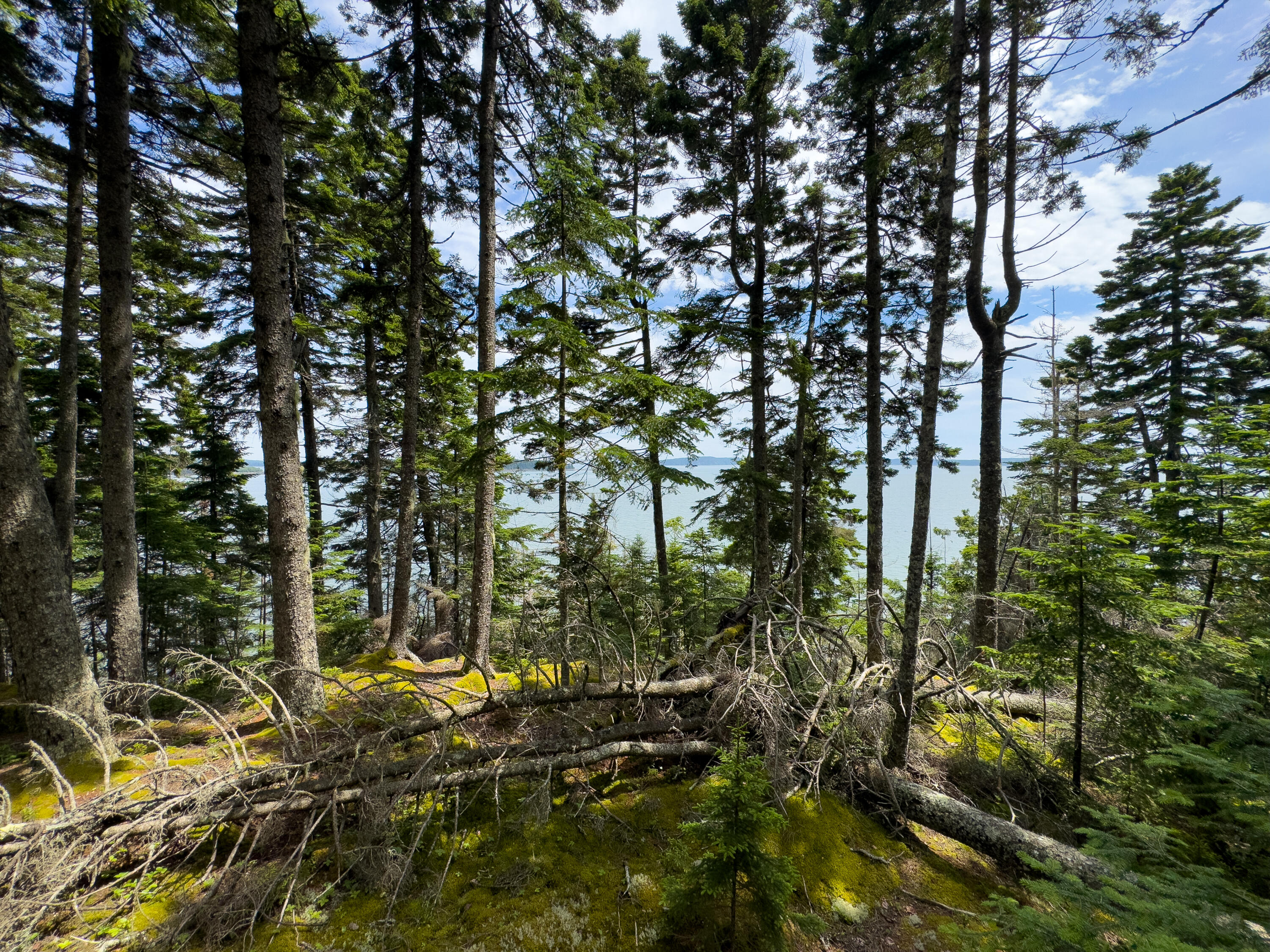 Lots 2&4 Looks Cemetery Road Jonesboro ME 04648