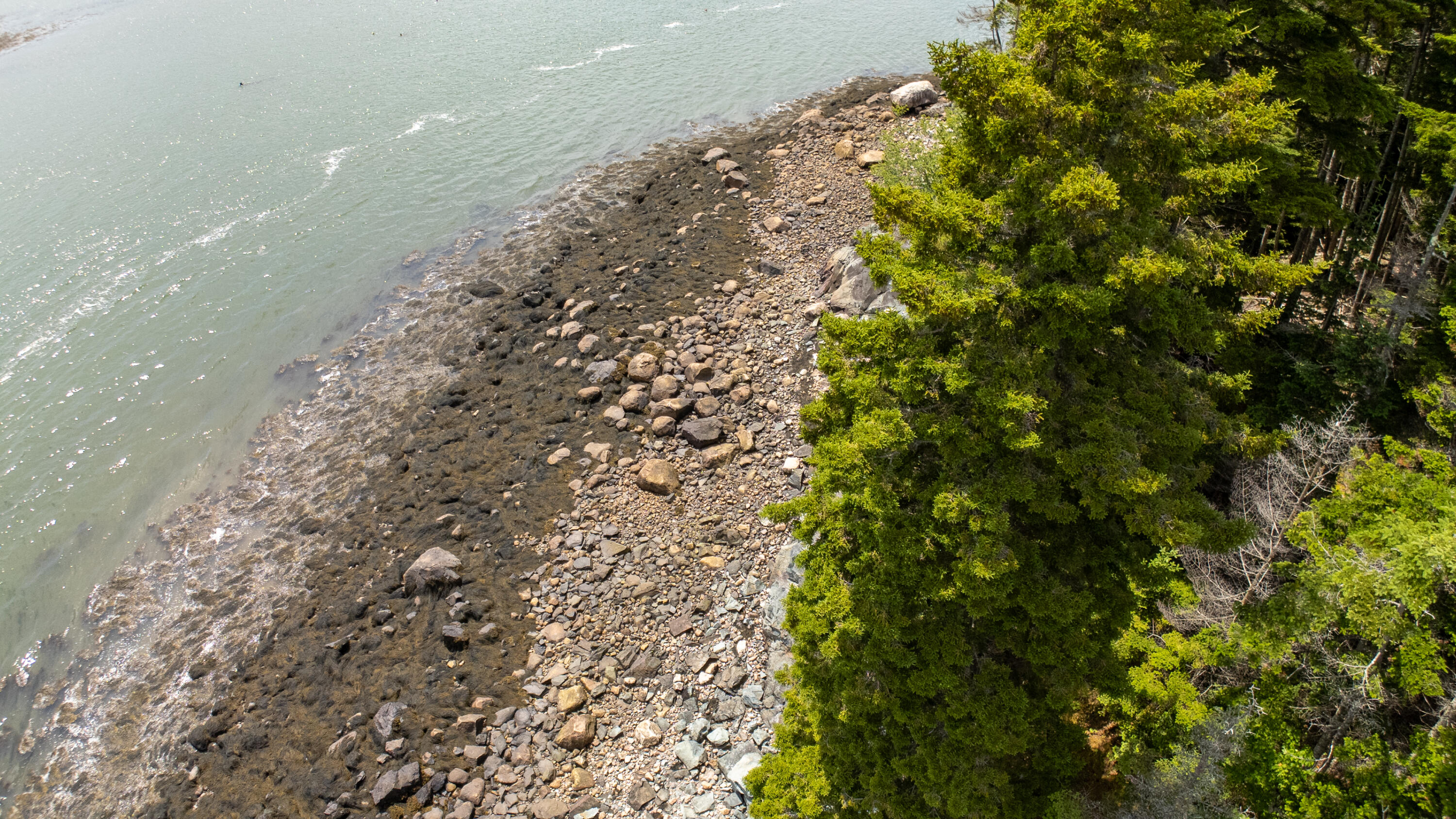 Lots 2&4 Looks Cemetery Road Jonesboro ME 04648