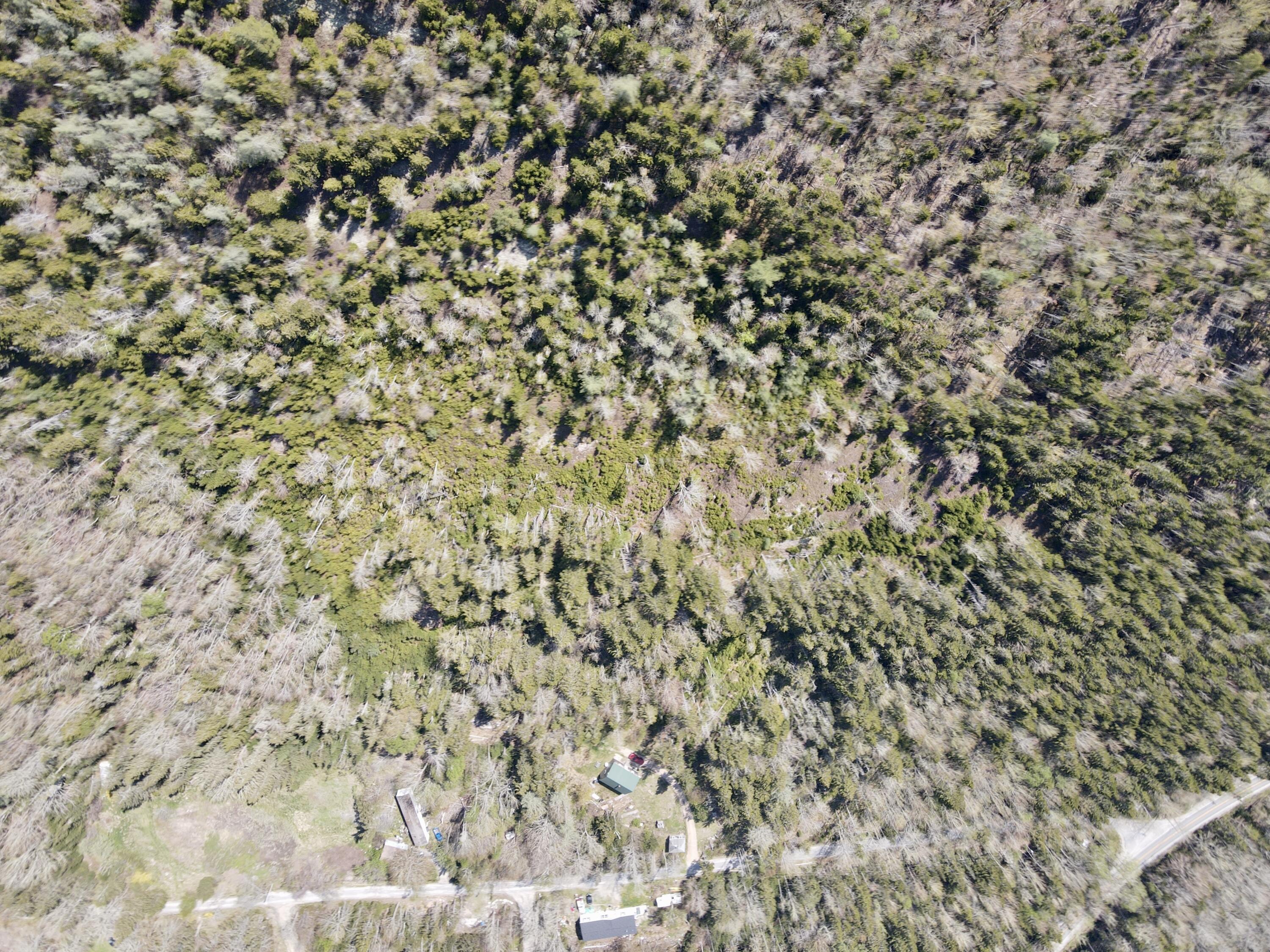 Map 4 Lot 40 Reach Road Brooklin ME 04616