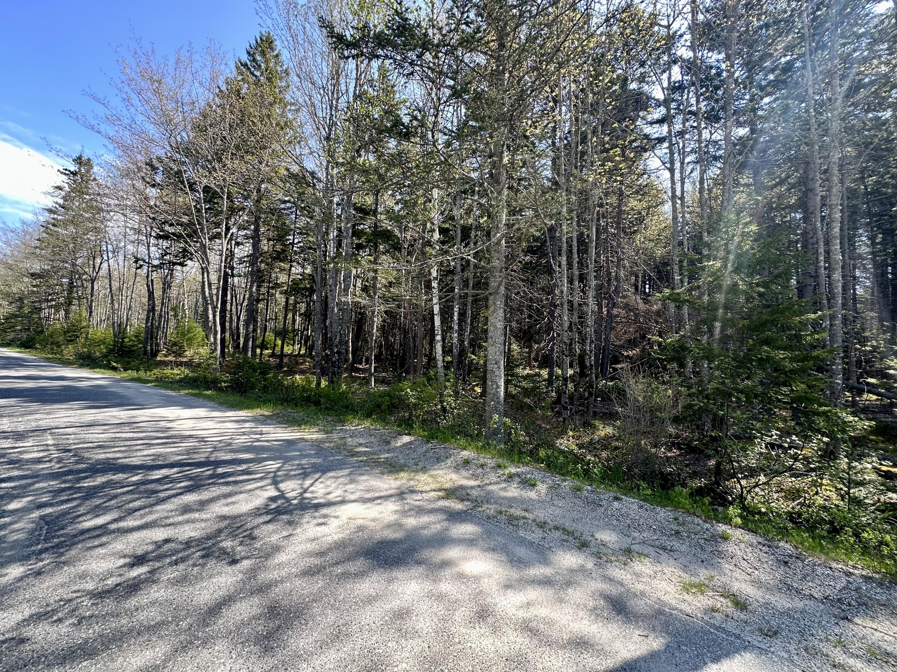 Map 4 Lot 40 Reach Road Brooklin ME 04616