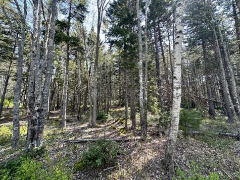 Map 4 Lot 40 Reach Road Brooklin ME 04616