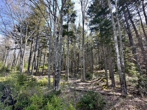 Map 4 Lot 40 Reach Road Brooklin ME 04616