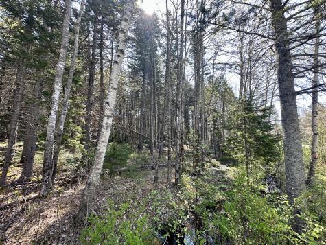 Map 4 Lot 40 Reach Road Brooklin ME 04616