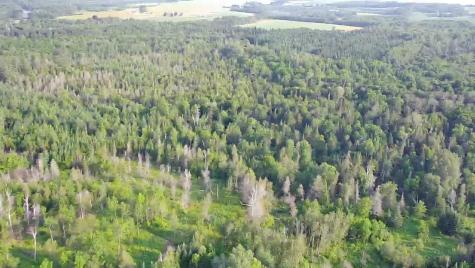 297 Washburn Road Presque Isle ME 04769