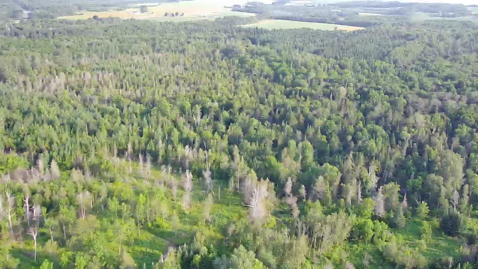 297 Washburn Road Presque Isle ME 04769