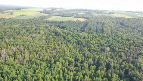 297 Washburn Road Presque Isle ME 04769