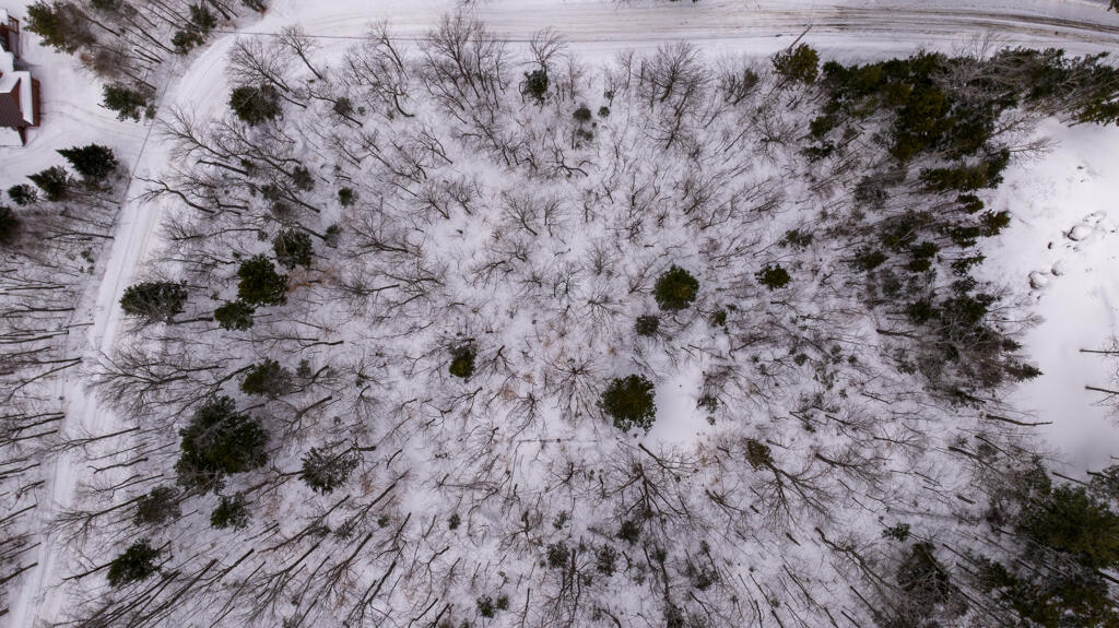 2018 Hillside Road Carrabassett Valley ME 04947