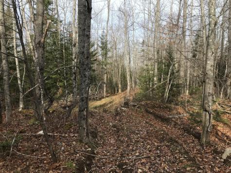 0 Swift Brook Hill Stacyville ME 04777