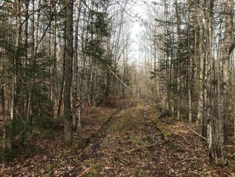 0 Swift Brook Hill Stacyville ME 04777