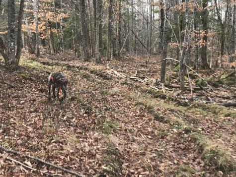 0 Swift Brook Hill Stacyville ME 04777