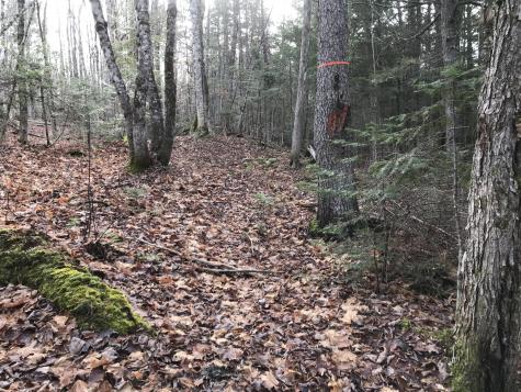 0 Swift Brook Hill Stacyville ME 04777