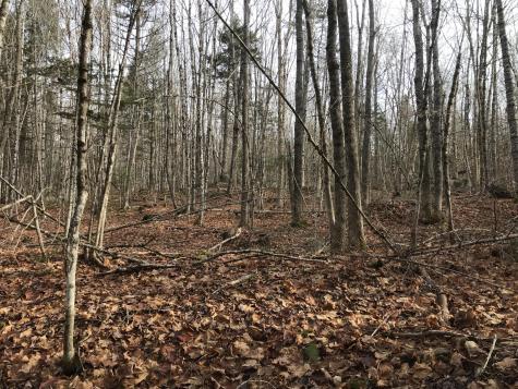 0 Swift Brook Hill Stacyville ME 04777