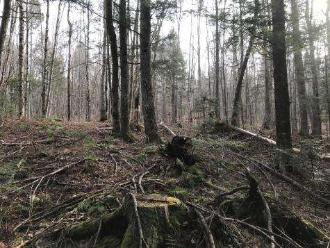 0 Swift Brook Hill Stacyville ME 04777