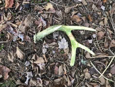 0 Swift Brook Hill Stacyville ME 04777