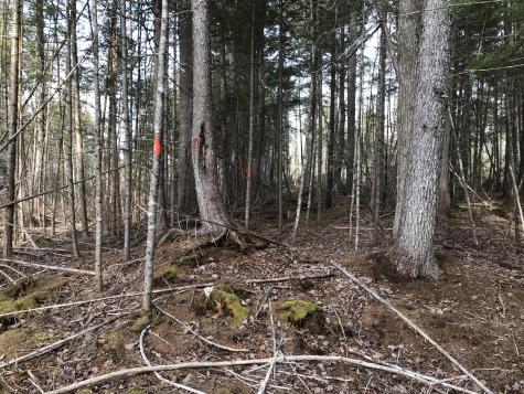 0 Swift Brook Hill Stacyville ME 04777