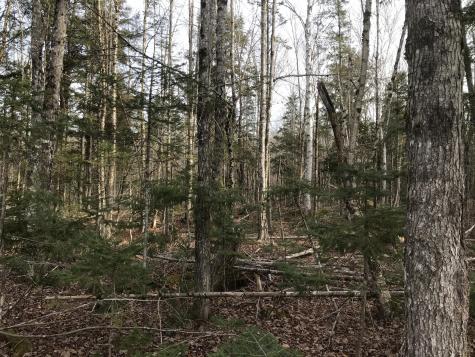 0 Swift Brook Hill Stacyville ME 04777
