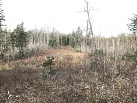 0 Swift Brook Hill Stacyville ME 04777