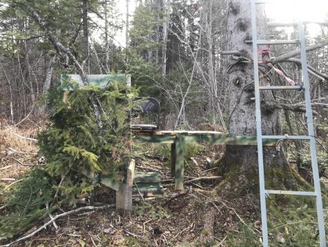 0 Swift Brook Hill Stacyville ME 04777