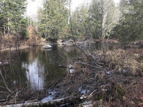 0 Swift Brook Hill Stacyville ME 04777