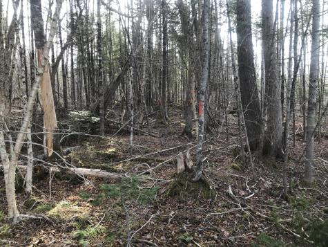 0 Swift Brook Hill Stacyville ME 04777