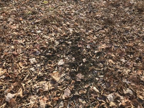 0 Swift Brook Hill Stacyville ME 04777