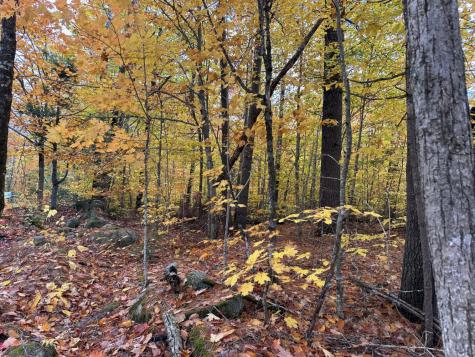 M1 L19 Homestead Hill Road Mercer ME 04957