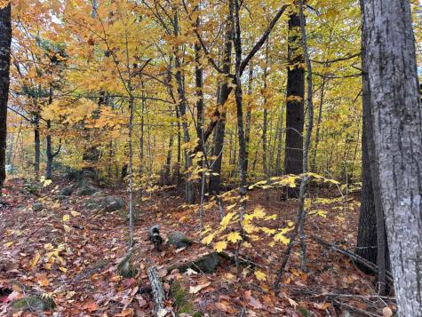 M1 L19 Homestead Hill Road Mercer ME 04957