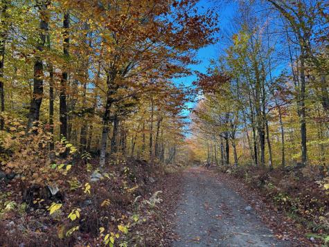 M1 L19 Homestead Hill Road Mercer ME 04957