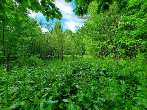 02-60.1 Elm Street Orneville Twp ME 04463