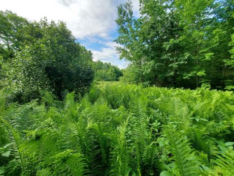 02-60.1 Elm Street Orneville Twp ME 04463