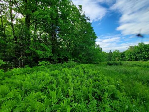 02-60.1 Elm Street Orneville Twp ME 04463