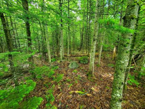 02-60.1 Elm Street Orneville Twp ME 04463