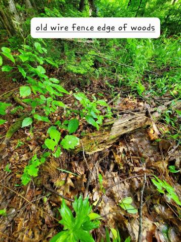 02-60.1 Elm Street Orneville Twp ME 04463