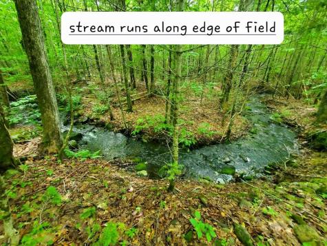 02-60.1 Elm Street Orneville Twp ME 04463