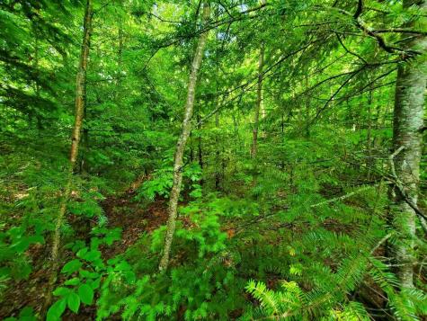 02-60.1 Elm Street Orneville Twp ME 04463