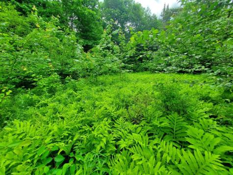 02-60.1 Elm Street Orneville Twp ME 04463