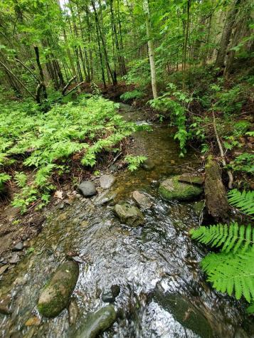 02-60.1 Elm Street Orneville Twp ME 04463