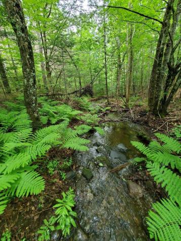 02-60.1 Elm Street Orneville Twp ME 04463