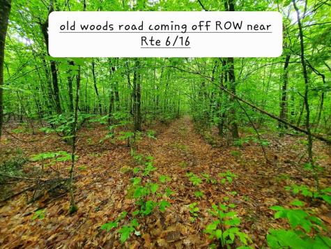 02-60.1 Elm Street Orneville Twp ME 04463