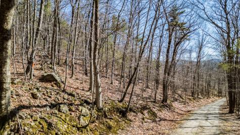 0 King Street/benny Babb Hill Road Hiram ME 04041