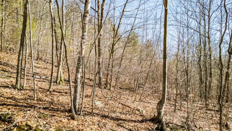 0 King Street/benny Babb Hill Road Hiram ME 04041