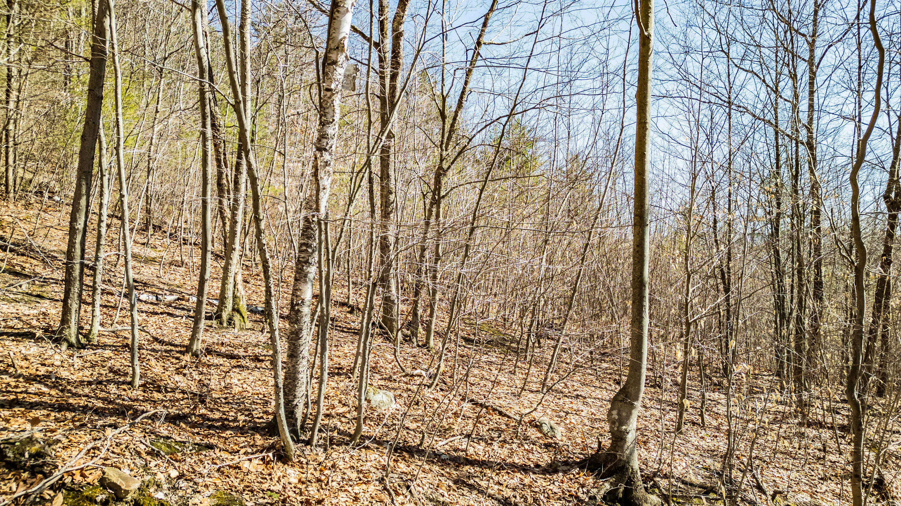 0 King Street/benny Babb Hill Road Hiram ME 04041