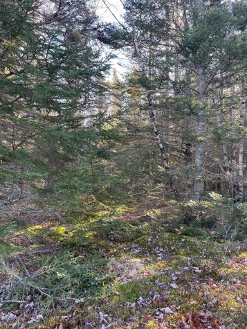47/48D Duck Cove Road Roque Bluffs ME 04654