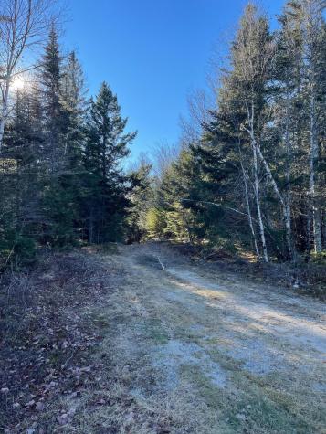 47/48D Duck Cove Road Roque Bluffs ME 04654