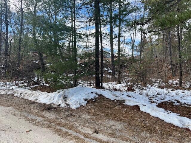 Lot 43 Rattlesnake Road Brownfield ME 04010
