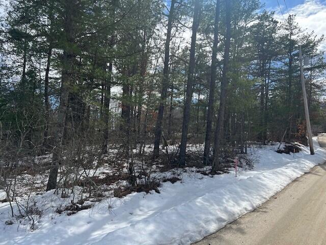 Lot 43 Rattlesnake Road Brownfield ME 04010