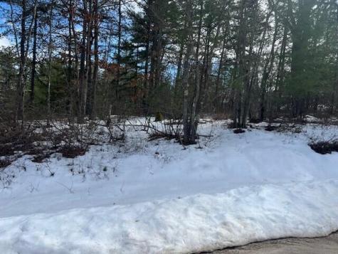 Lot 43 Rattlesnake Road Brownfield ME 04010