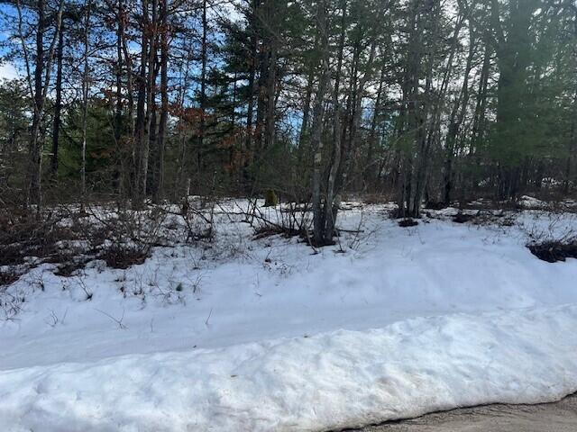 Lot 43 Rattlesnake Road Brownfield ME 04010