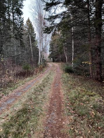 Lot 1-9 Lead Mine Road Lubec ME 04652