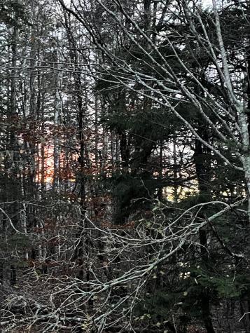 Lot 1-9 Lead Mine Road Lubec ME 04652